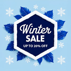 winter sale